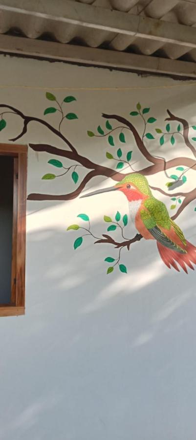Sierra Kay Hostel Guachaca Room photo